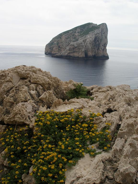 Giramondo Sardegna Affittacamere Alghero Exterior photo