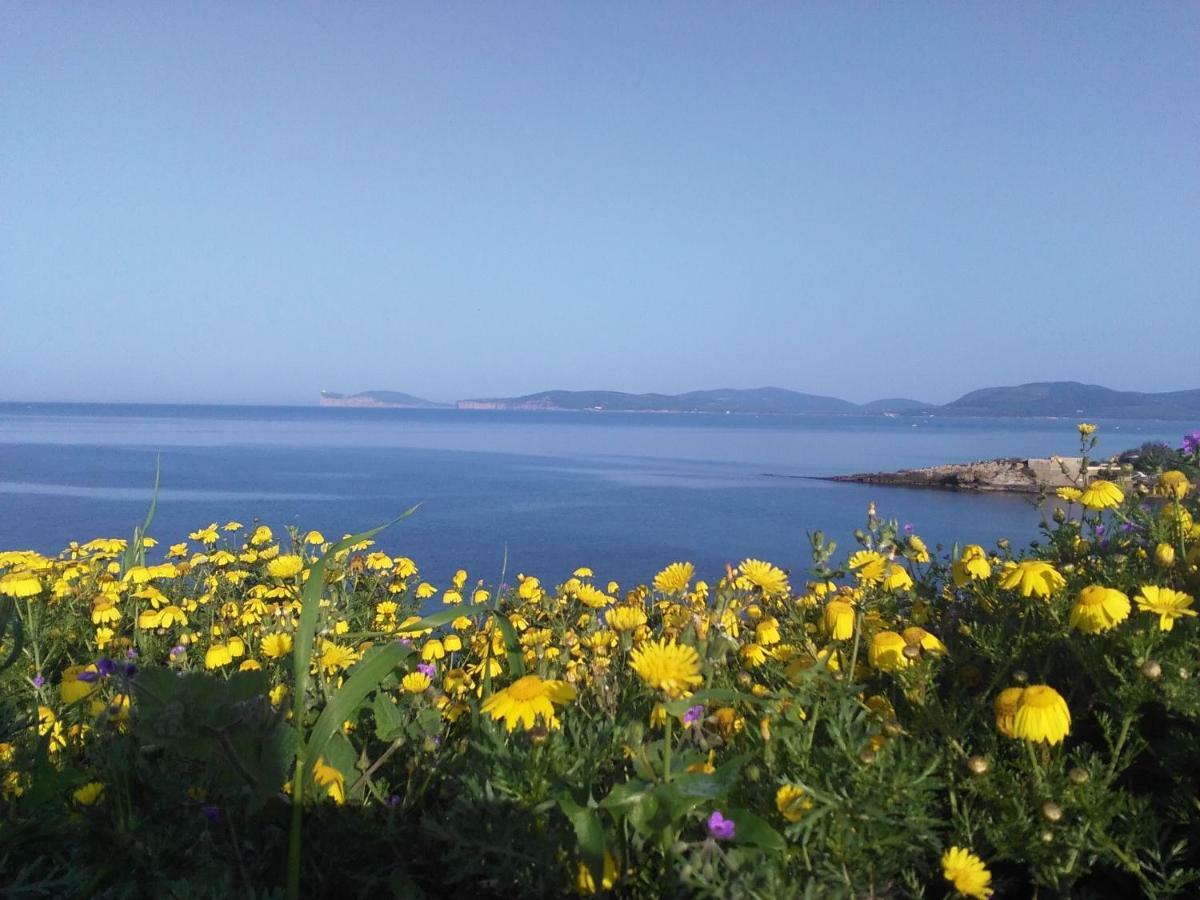 Giramondo Sardegna Affittacamere Alghero Exterior photo